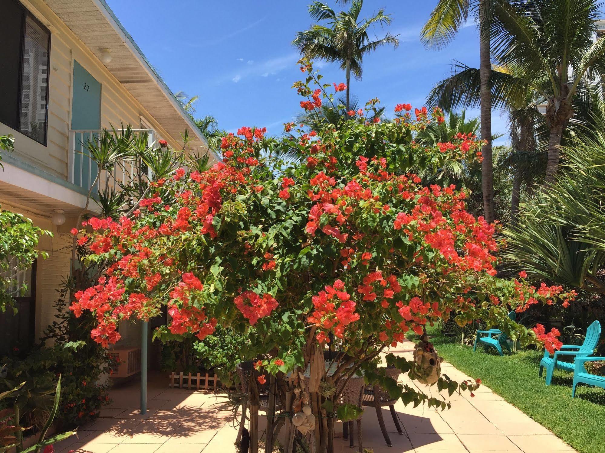 Sea Cove Motel Pompano Beach Eksteriør billede